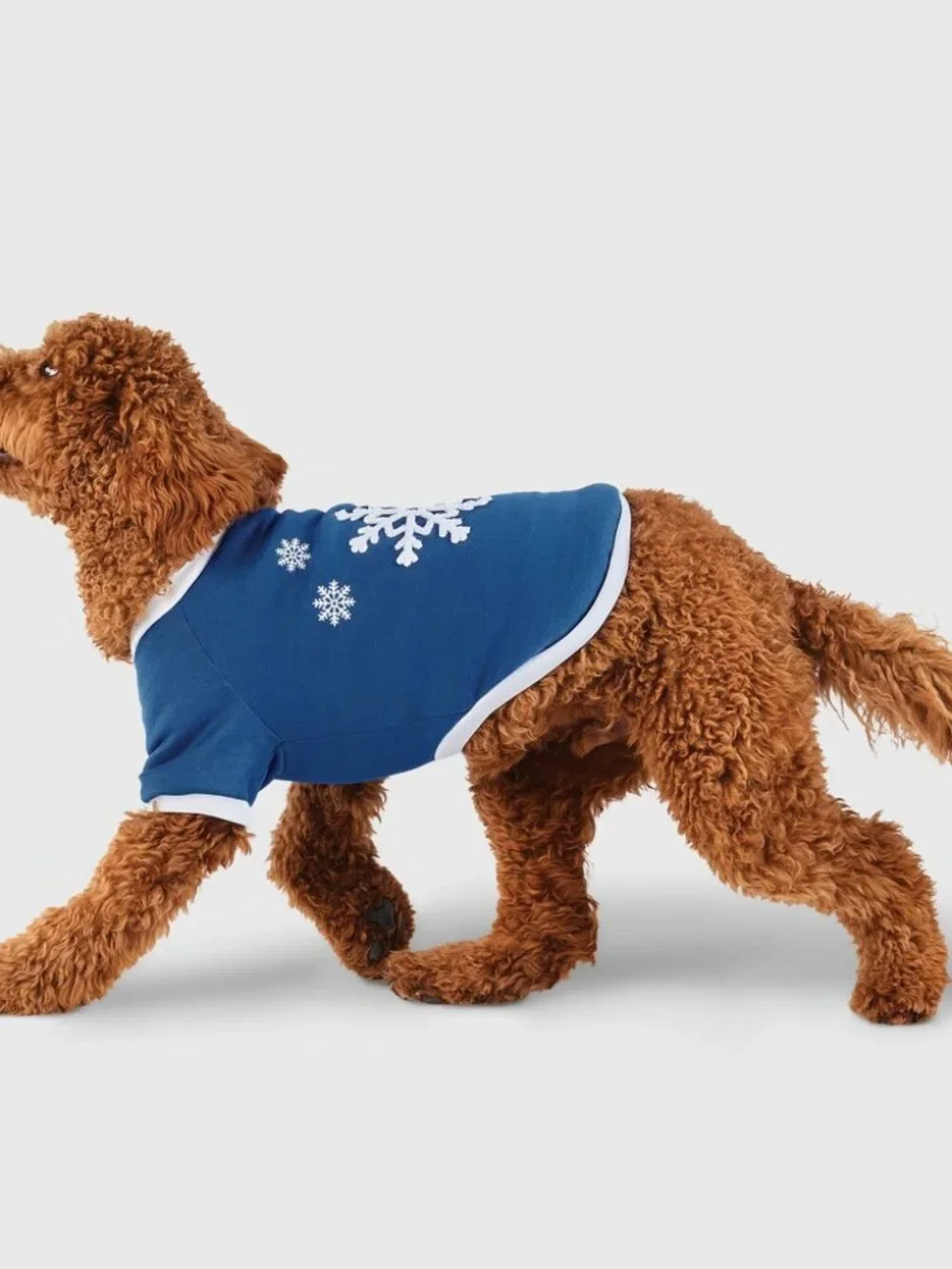 Gingerbread Playhouse Blue Snowflake Dog Sweatshirt - Wondershop Medium